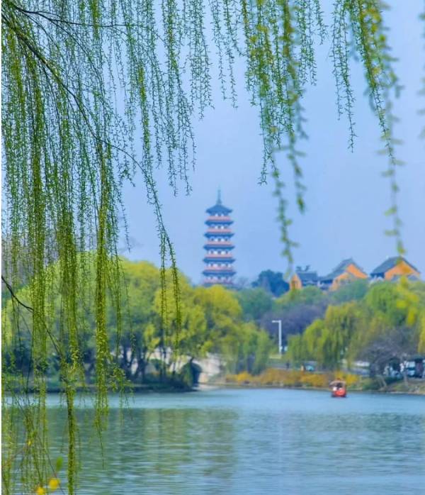 烟花三月下扬州｜瘦西湖、鼋头渚、拈花湾、水上油菜花7日自驾